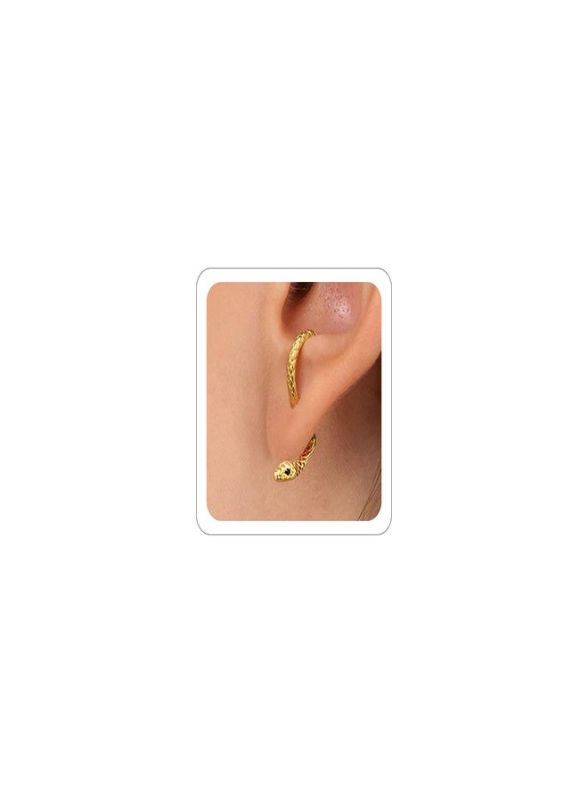 Xeyau Gold Snake Earrings for Women Gothic Earrings Halloween Accessories Medusa Costume Serpent Animal Earrings Grunge Goth Earring Jewelry (C-G) - Image 1